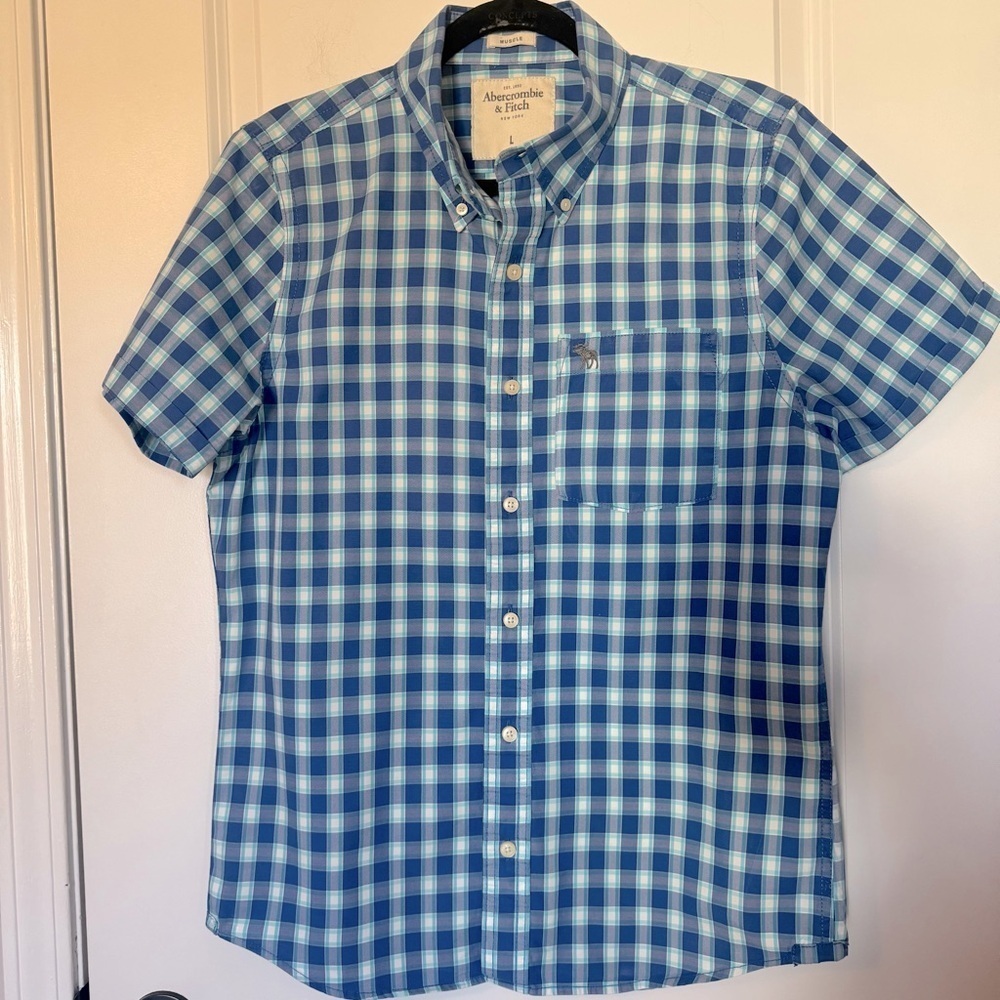 Abercrombie & Fitch Blue Checkered Men's Large Shirt